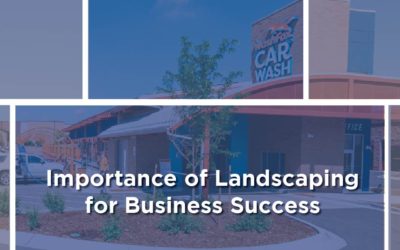 Importance of Landscaping for Business Success
